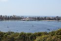 IMG_1384