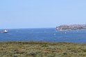 IMG_1390