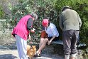 IMG_1393