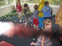 IMG_1972