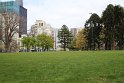IMG_4071