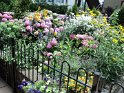 DSC00029