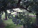 DSC00110
