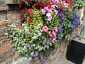 DSC00138