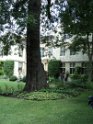 DSC00145