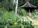 DSC00151