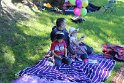 IMG_1445