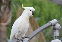 IMG_4138