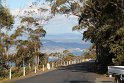 IMG_4600