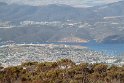 IMG_4603