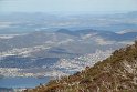 IMG_4604
