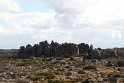 IMG_4617