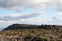 IMG_4619
