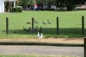 IMG_4665