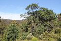 IMG_4706