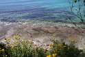 IMG_4708
