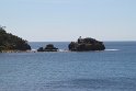 IMG_4710