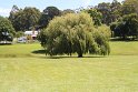 IMG_4722
