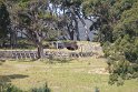 IMG_4737