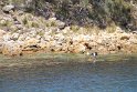 IMG_4743