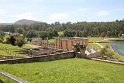 IMG_4772