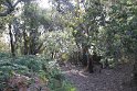 IMG_4804