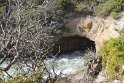 IMG_4810