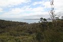 IMG_4849