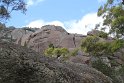 IMG_4860