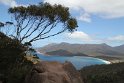 IMG_4864