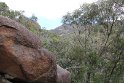 IMG_4880