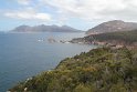 IMG_4886