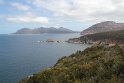 IMG_4887