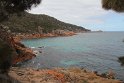 IMG_4890