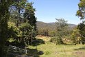 IMG_4895
