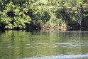 IMG_4898