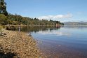 IMG_4906