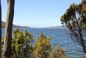 IMG_4908