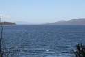 IMG_4910