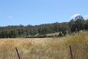 IMG_4911