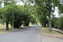 IMG_4956