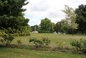 IMG_4961