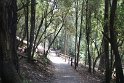 IMG_4970