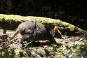 IMG_4972