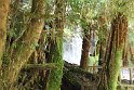 IMG_4976