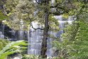 IMG_4981