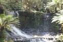 IMG_4989