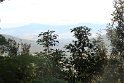IMG_4997