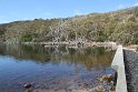 IMG_5002