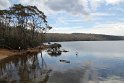 IMG_5004
